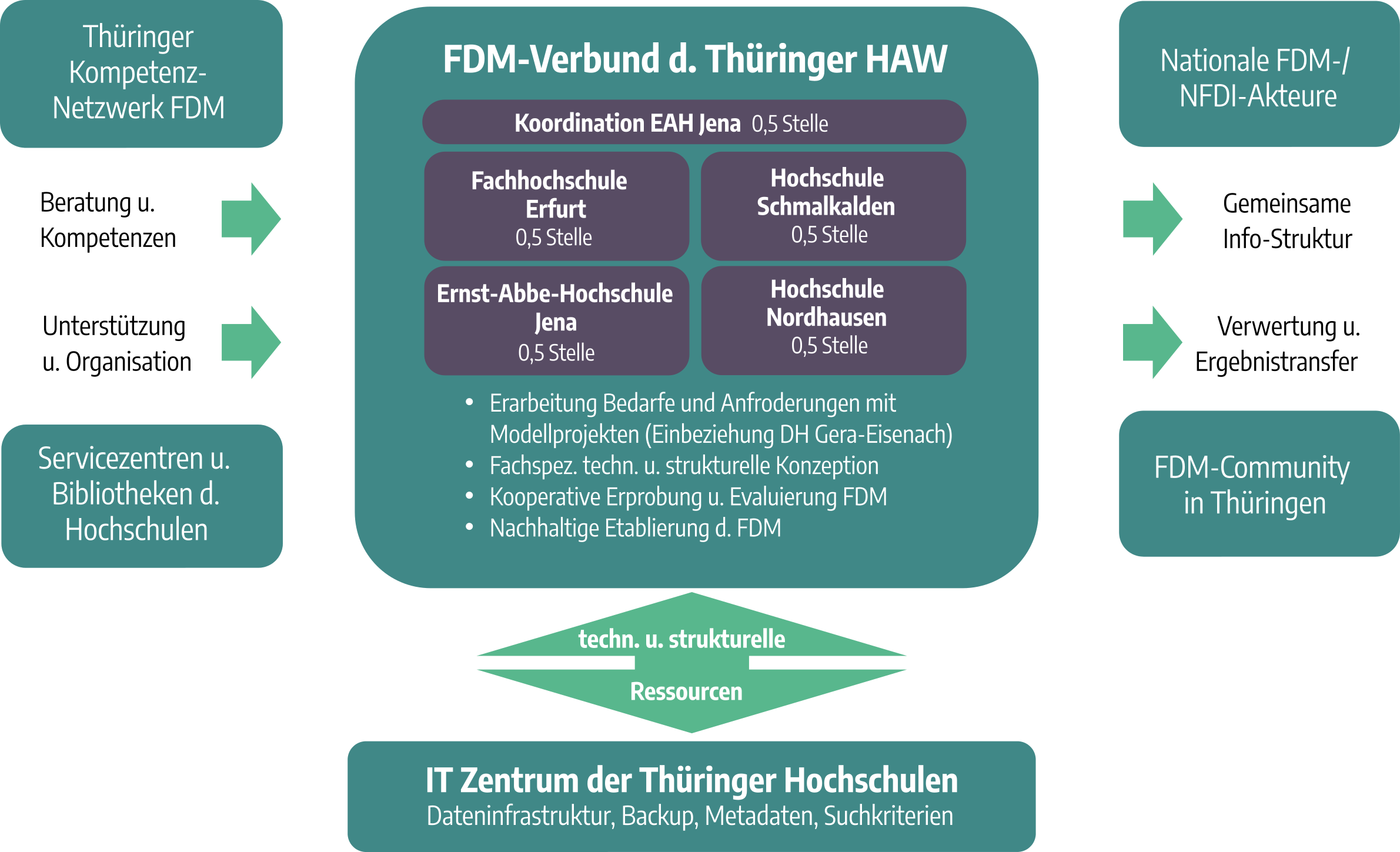 Struktur und Betätigungsfelder der FDM-Initiative